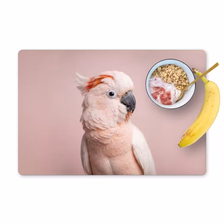 Placemat - 6 stuks - Kaketoe - Portret - Roze — 1