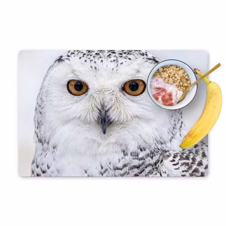 Placemat - 6 stuks - Sneeuwuil - Oog - Wildlife - Wit — 1