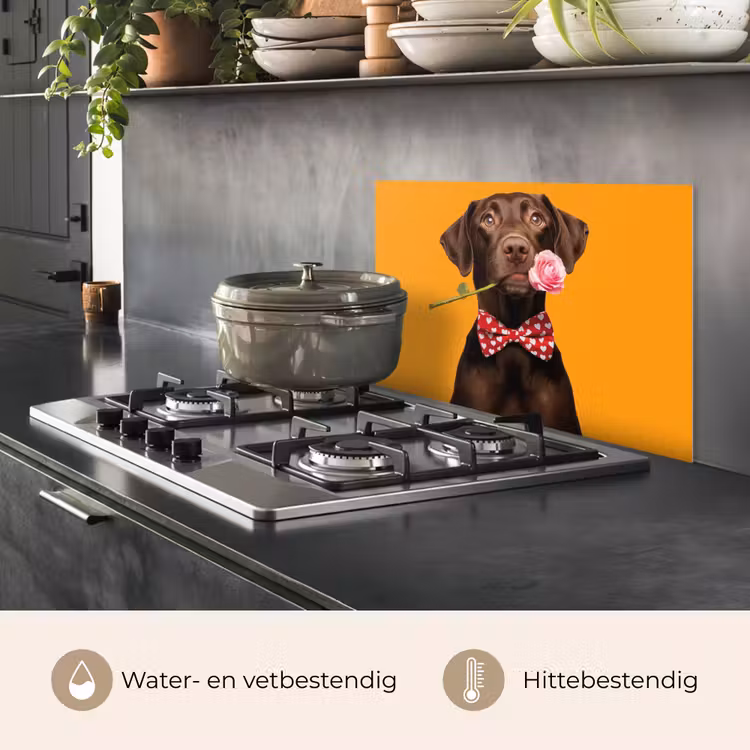 Spatscherm keuken - Hond - Oranje - Roos - Valentijn — 2