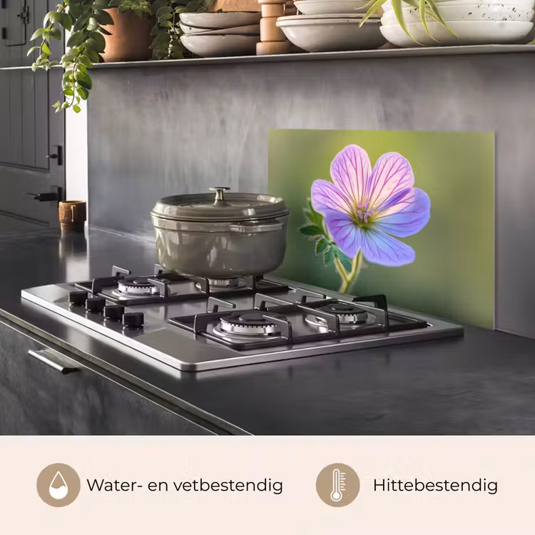 Spatscherm keuken - Bloem - Close up - Paars — 2