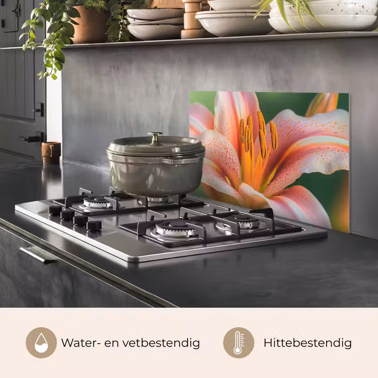 Spatscherm keuken - Lelie - Close up - Lichtroze — 2