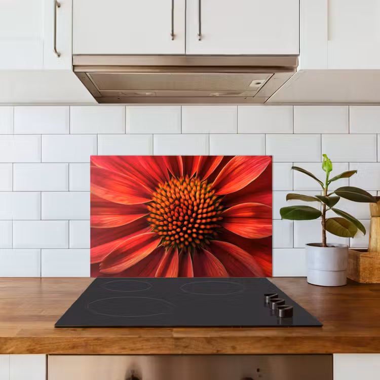 Spatscherm keuken - Close up - Bloem- Rood — 3