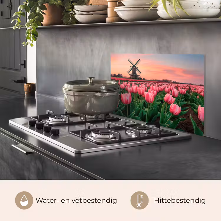 Spatscherm keuken - Tulpen - Molen - Nederland — 2