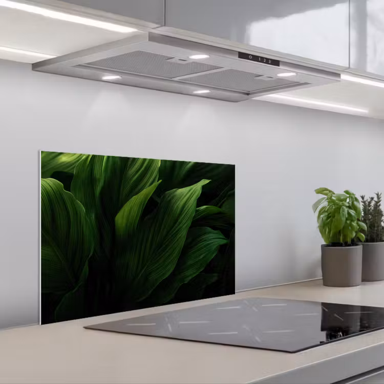 Spatscherm keuken - Bladeren - Schaduw - Groen - Textuur — 1