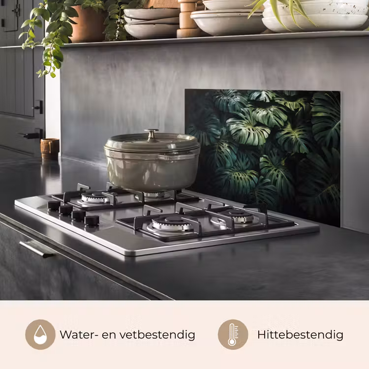Spatscherm keuken - Plant - Monstera - Lichtinval — 2