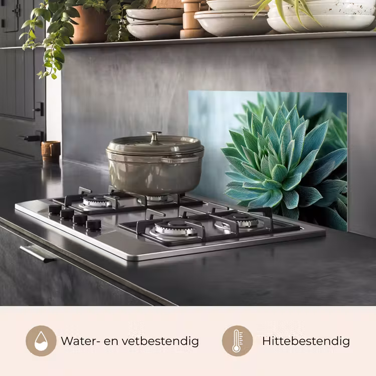 Spatscherm keuken - Vetplant - Bladeren - Groen - Wazig — 2