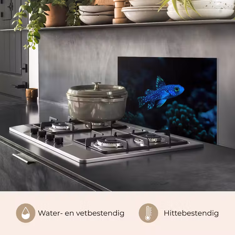 Spatscherm keuken - Vis - Stippen - Koraal - Blauw — 2