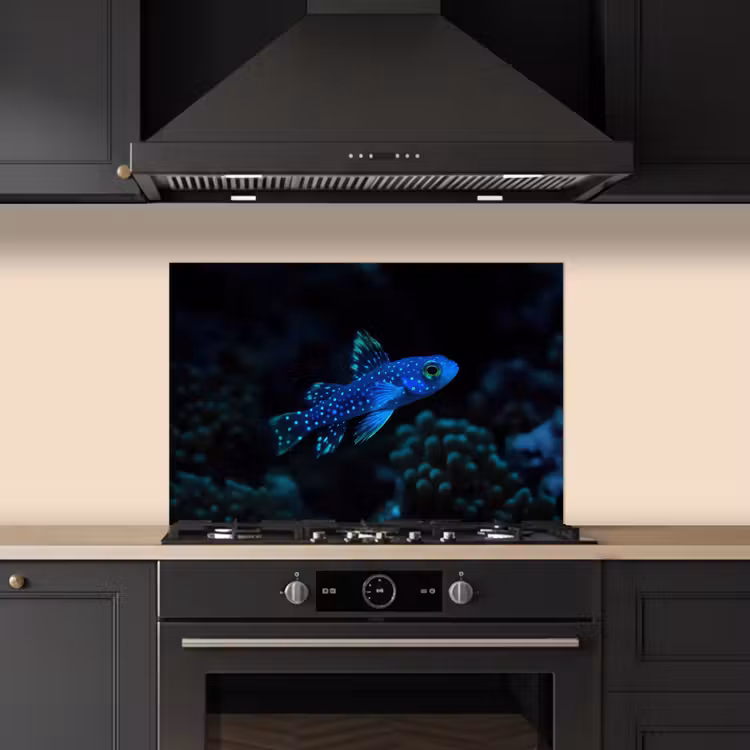 Spatscherm keuken - Vis - Stippen - Koraal - Blauw — 5
