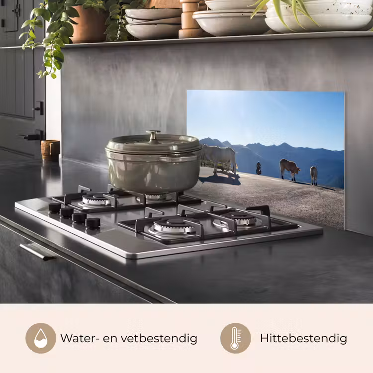 Spatscherm keuken - Schotse hooglander - Licht - Berg - Natuur — 2