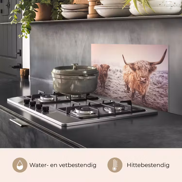 Spatscherm keuken - Schotse hooglanders - Licht - Lucht - Natuur — 2