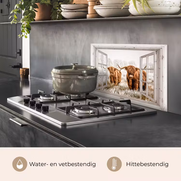 Spatscherm keuken - Doorkijk - Schotse hooglander - Dieren — 2