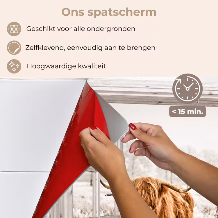 Spatscherm keuken - Doorkijk - Schotse hooglander - Dieren — 4