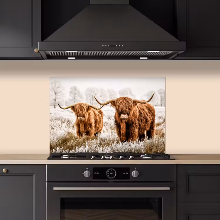 Spatscherm keuken - Schotse hooglander - Koe - Natuur - Winter — 5