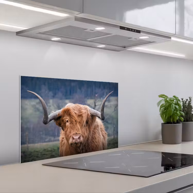 Spatscherm keuken - Schotse Hooglander - Koeienkop - Landschap - Natuur - Koe — 1