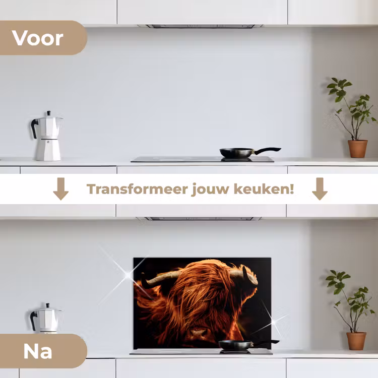 Spatscherm keuken - Schotse hooglander - Koe - Hoorns - Portret - Dieren — 7