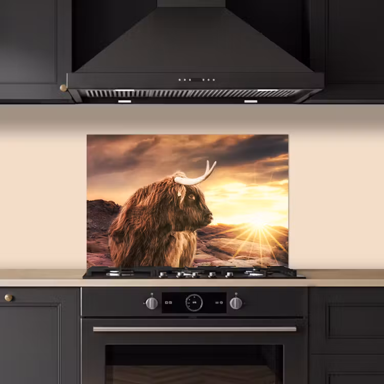 Spatscherm keuken - Schotse hooglander - Zon - Horizon - Koe - Dieren — 5