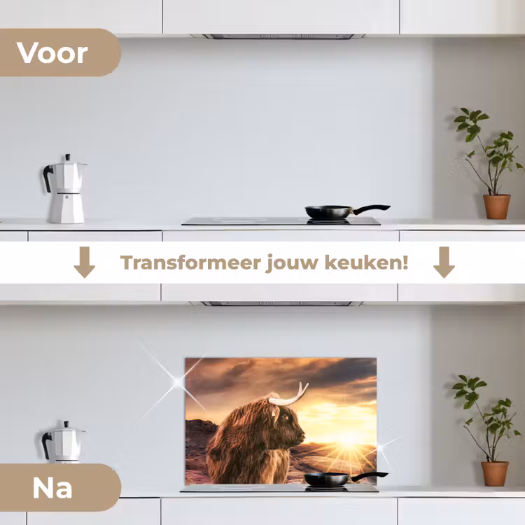 Spatscherm keuken - Schotse hooglander - Zon - Horizon - Koe - Dieren — 7