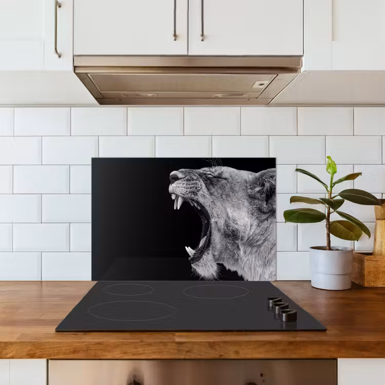 Spatscherm keuken - Dieren - Leeuw - Zwart - Wit - Portret — 3