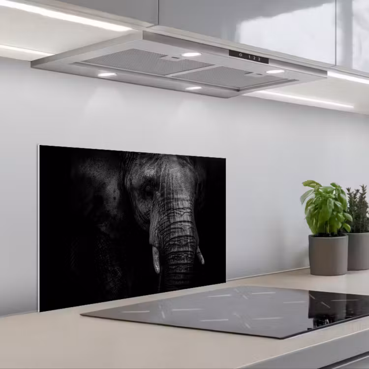 Spatscherm keuken - Olifant - Dier - Portret — 1
