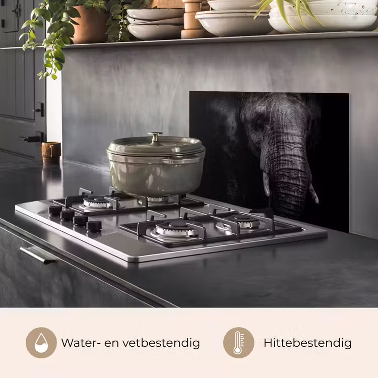 Spatscherm keuken - Olifant - Dier - Portret — 2