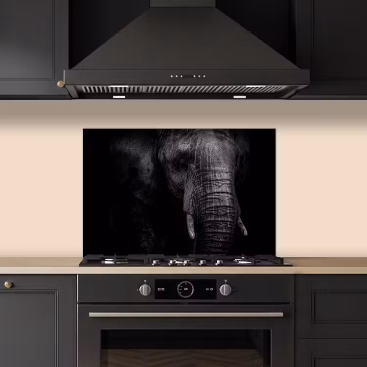 Spatscherm keuken - Olifant - Dier - Portret — 5