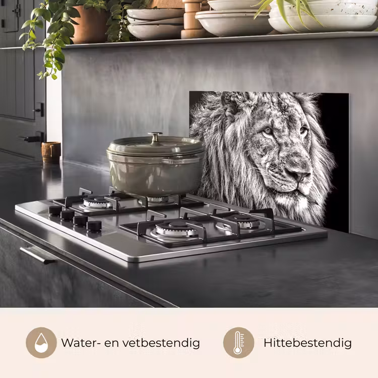 Spatscherm keuken - Portret - Leeuw - Zwart wit — 2