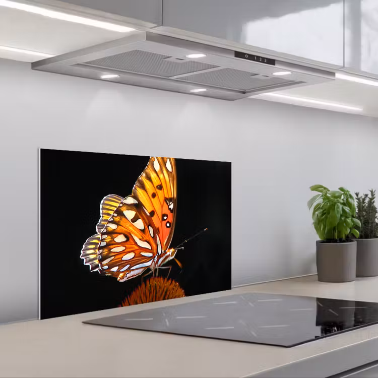 Spatscherm keuken - Vlinder - Bloemen - Insect - Portret - Zwart - Oranje — 1