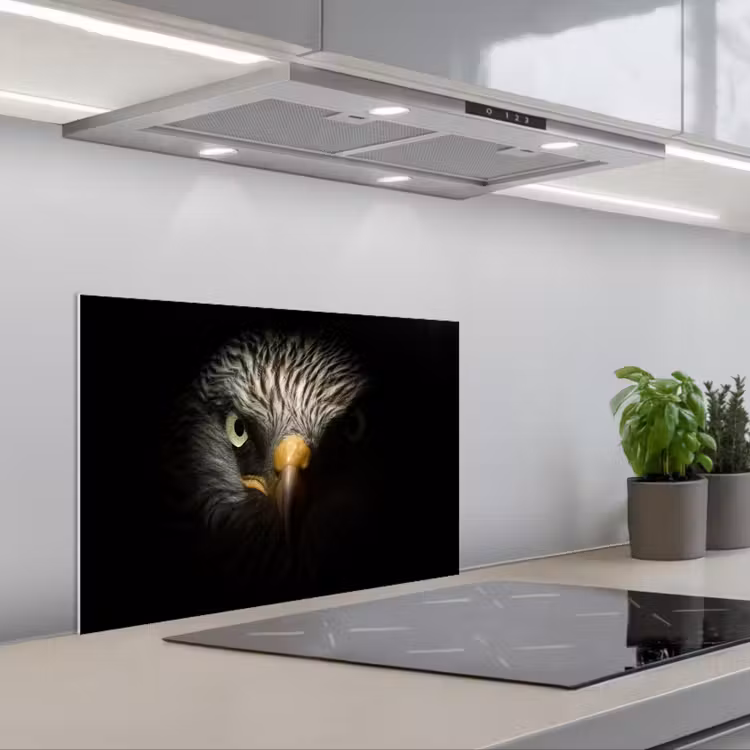 Spatscherm keuken - Vogel - Adelaar - Roofvogels - Oog - Snavel - Licht — 1