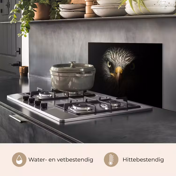 Spatscherm keuken - Vogel - Adelaar - Roofvogels - Oog - Snavel - Licht — 2