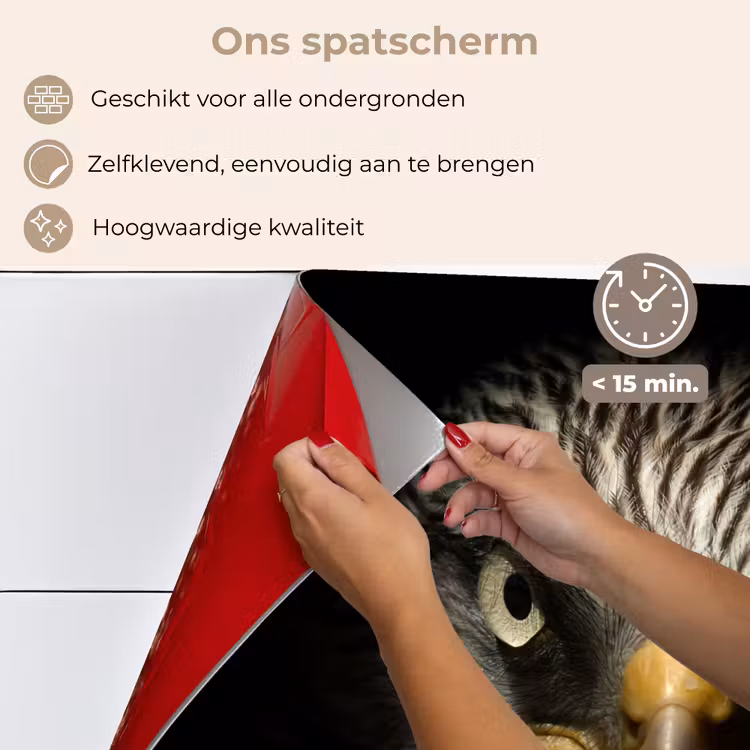 Spatscherm keuken - Vogel - Adelaar - Roofvogels - Oog - Snavel - Licht — 4