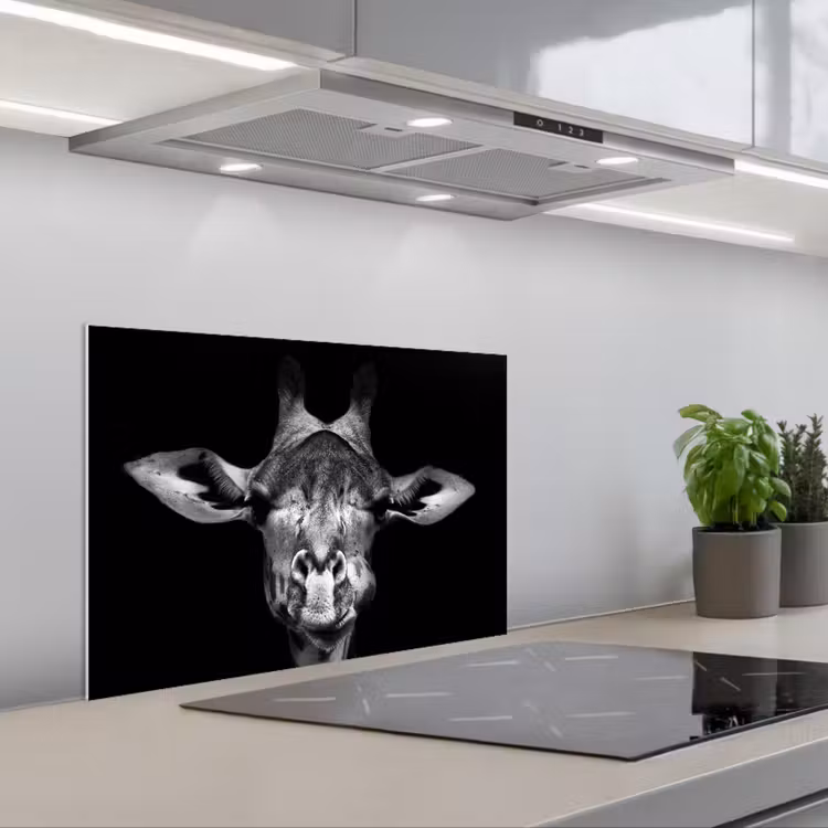 Spatscherm keuken - Giraffe - Portret - Dieren - Zwart - Wit — 1