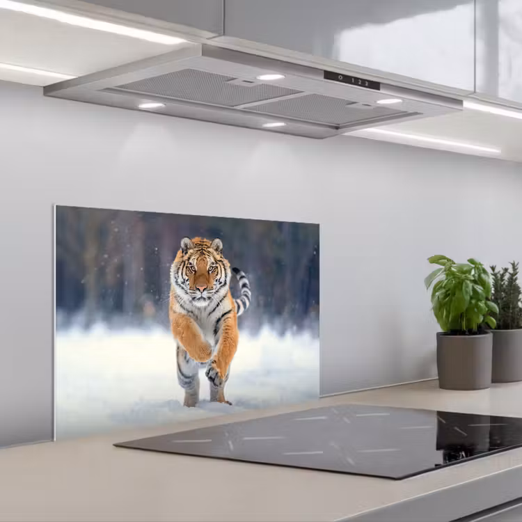 Spatscherm keuken - Tijger - Landschap - Sneeuw - Winter - Dieren — 1