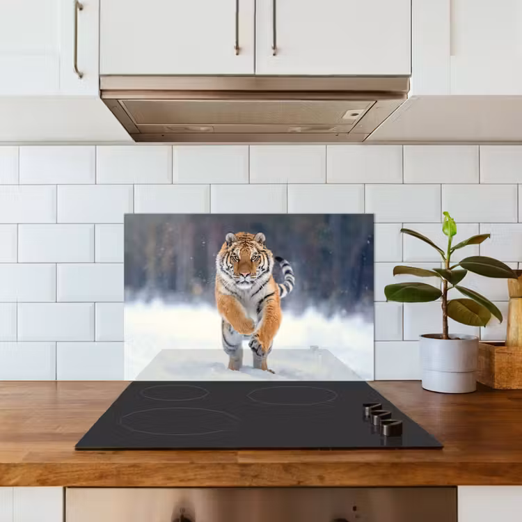 Spatscherm keuken - Tijger - Landschap - Sneeuw - Winter - Dieren — 3