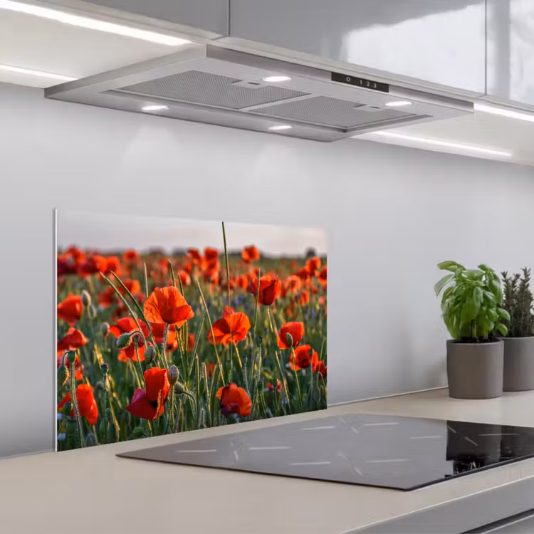 Spatscherm keuken - Bloemen - Klaprozen - Natuur - Rood — 1