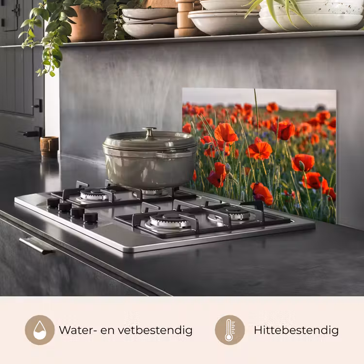 Spatscherm keuken - Bloemen - Klaprozen - Natuur - Rood — 2