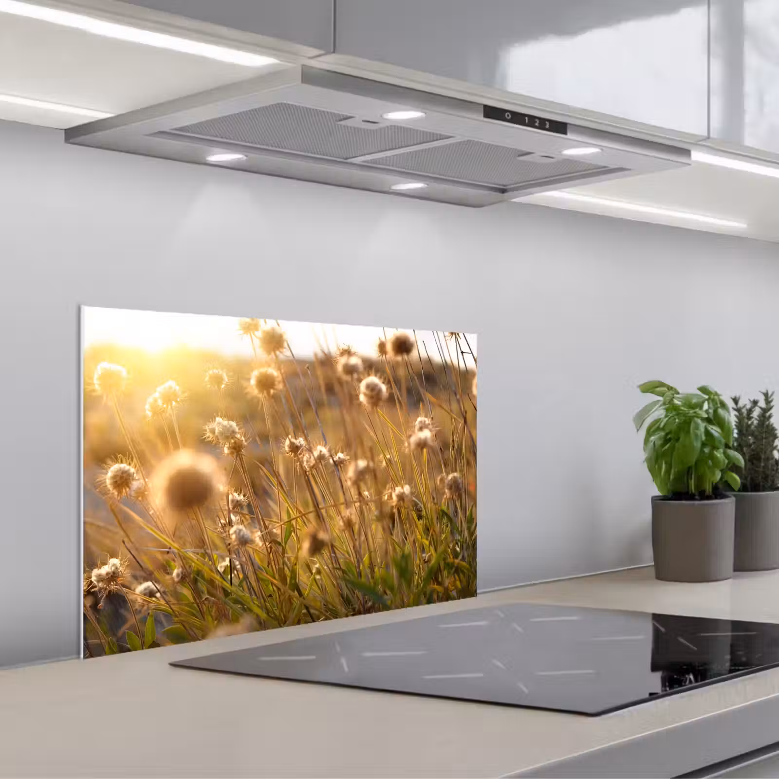 Spatscherm keuken - Planten - Natuur - Bloemen - Zon - Horizon — 1