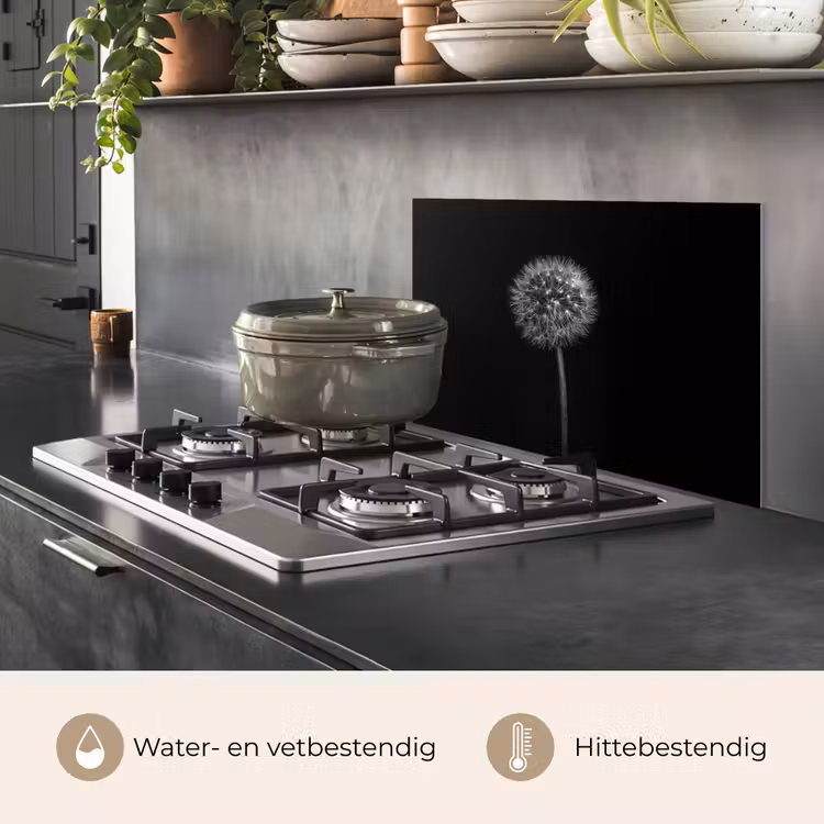 Spatscherm keuken - Paardenbloem - Zwart - Bloemen - Botanisch — 2