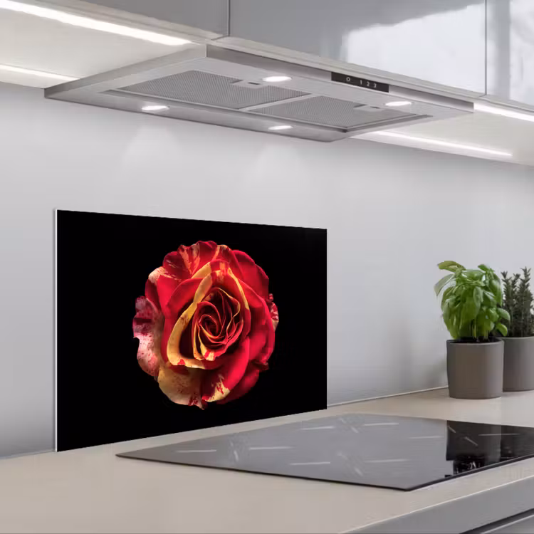 Spatscherm keuken - Bloem - Roos - Rood - Zwart — 1