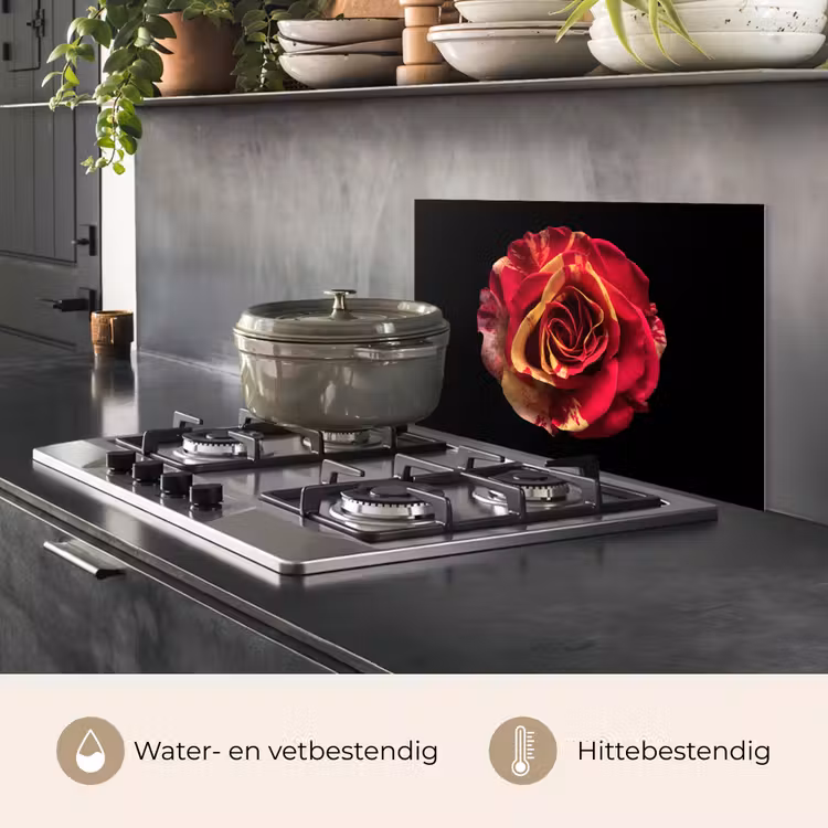 Spatscherm keuken - Bloem - Roos - Rood - Zwart — 2