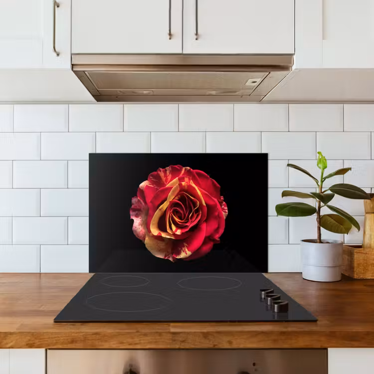 Spatscherm keuken - Bloem - Roos - Rood - Zwart — 3