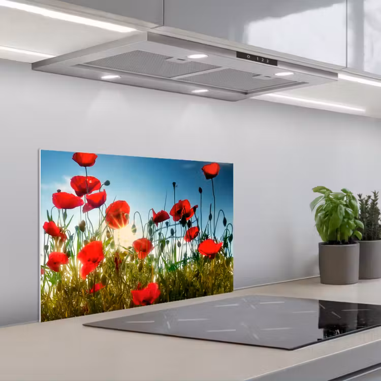 Spatscherm keuken - Klaprozen - Toscane - Zon - Rood - Blauw — 1