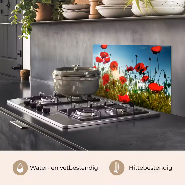 Spatscherm keuken - Klaprozen - Toscane - Zon - Rood - Blauw — 2