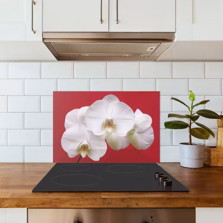 Spatscherm keuken - Witte orchidee op rood — 3