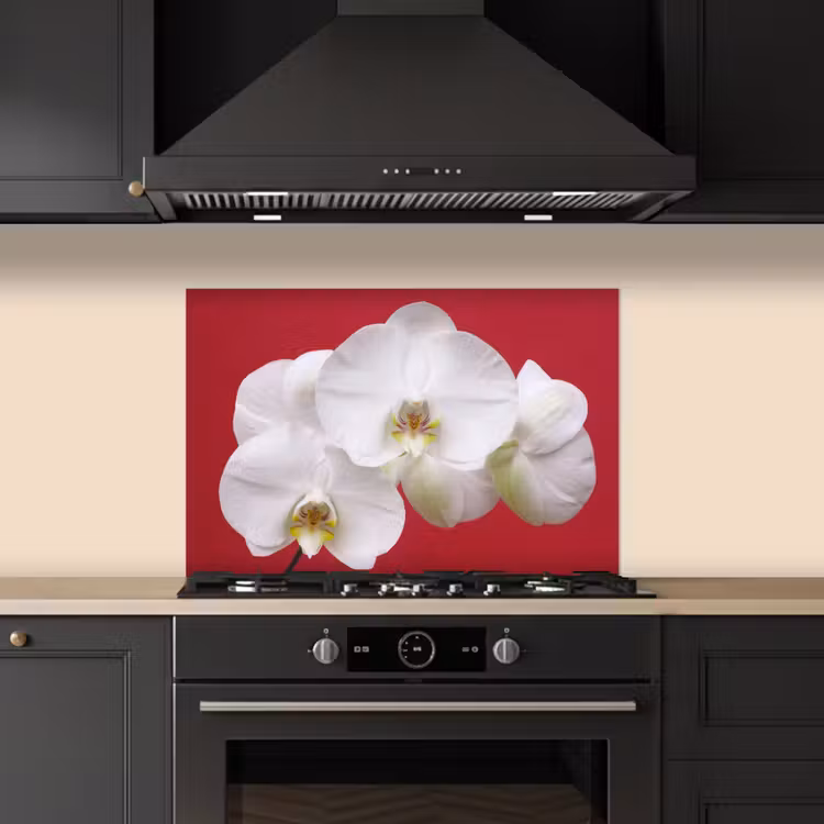 Spatscherm keuken - Witte orchidee op rood — 5
