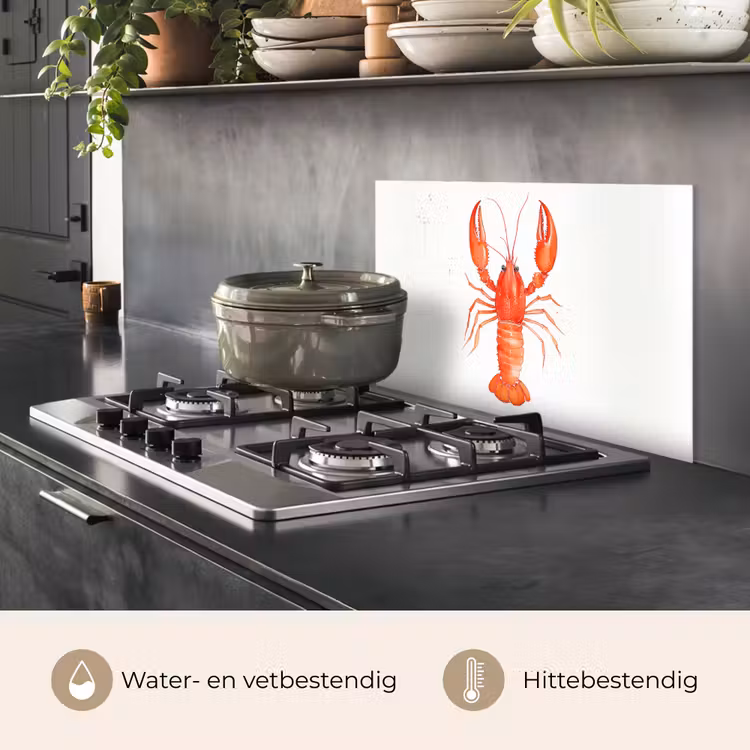Spatscherm keuken - Kreeft - Waterverf - Aquarel - Oranje — 2