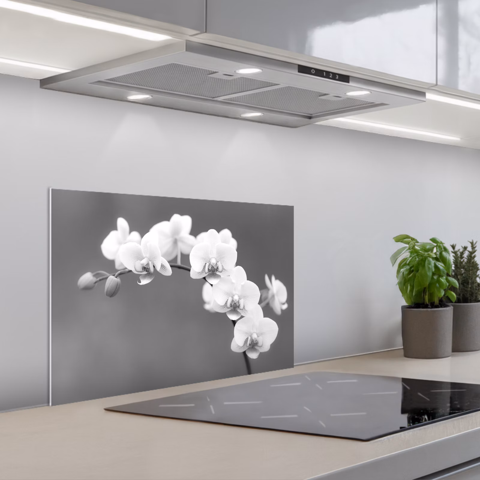 Spatscherm keuken - Monochrome Orchideeënpracht — 1