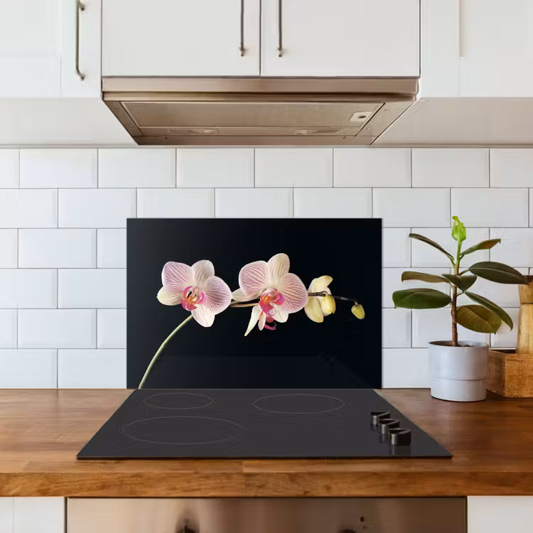 Spatscherm keuken - Gestreepte Orchideeën Elegantie — 3
