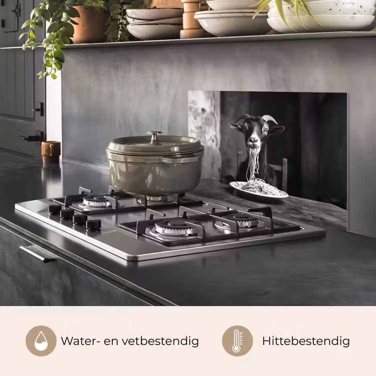 Spatscherm keuken - Geit - Bord - Spaghetti - Zwart Wit — 2