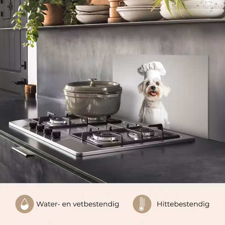 Spatscherm keuken - Hond - Wit - Kok — 2