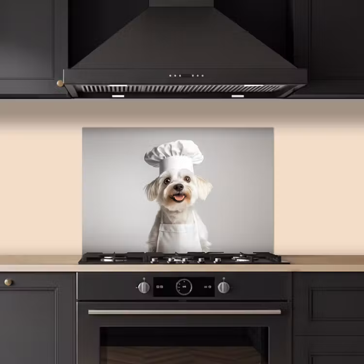 Spatscherm keuken - Hond - Wit - Kok — 5